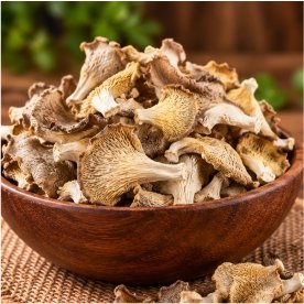 Dried Oyster Mushroom